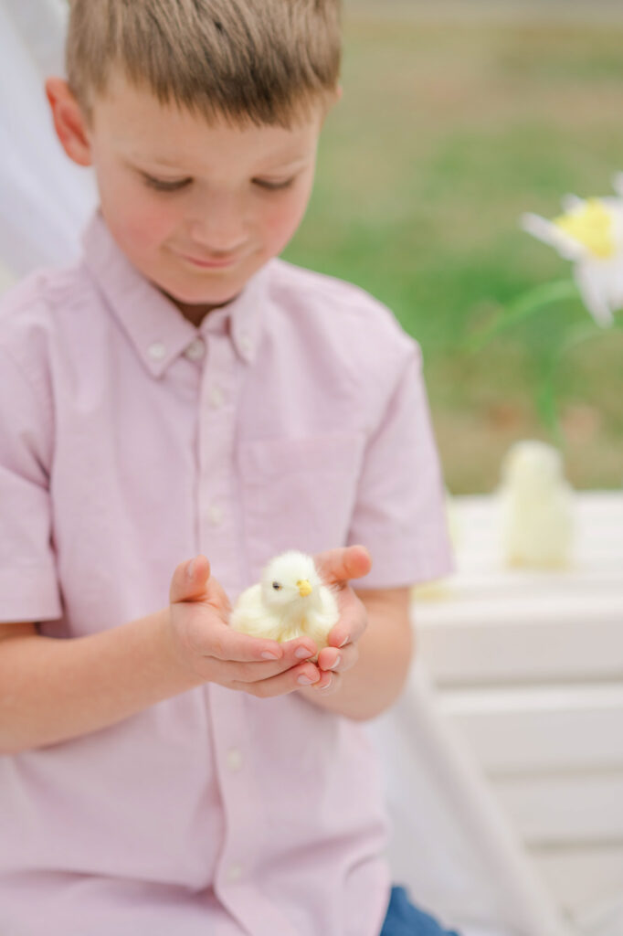 Boy holds baby chick during spring family photoshoot in Wilmington Delaware