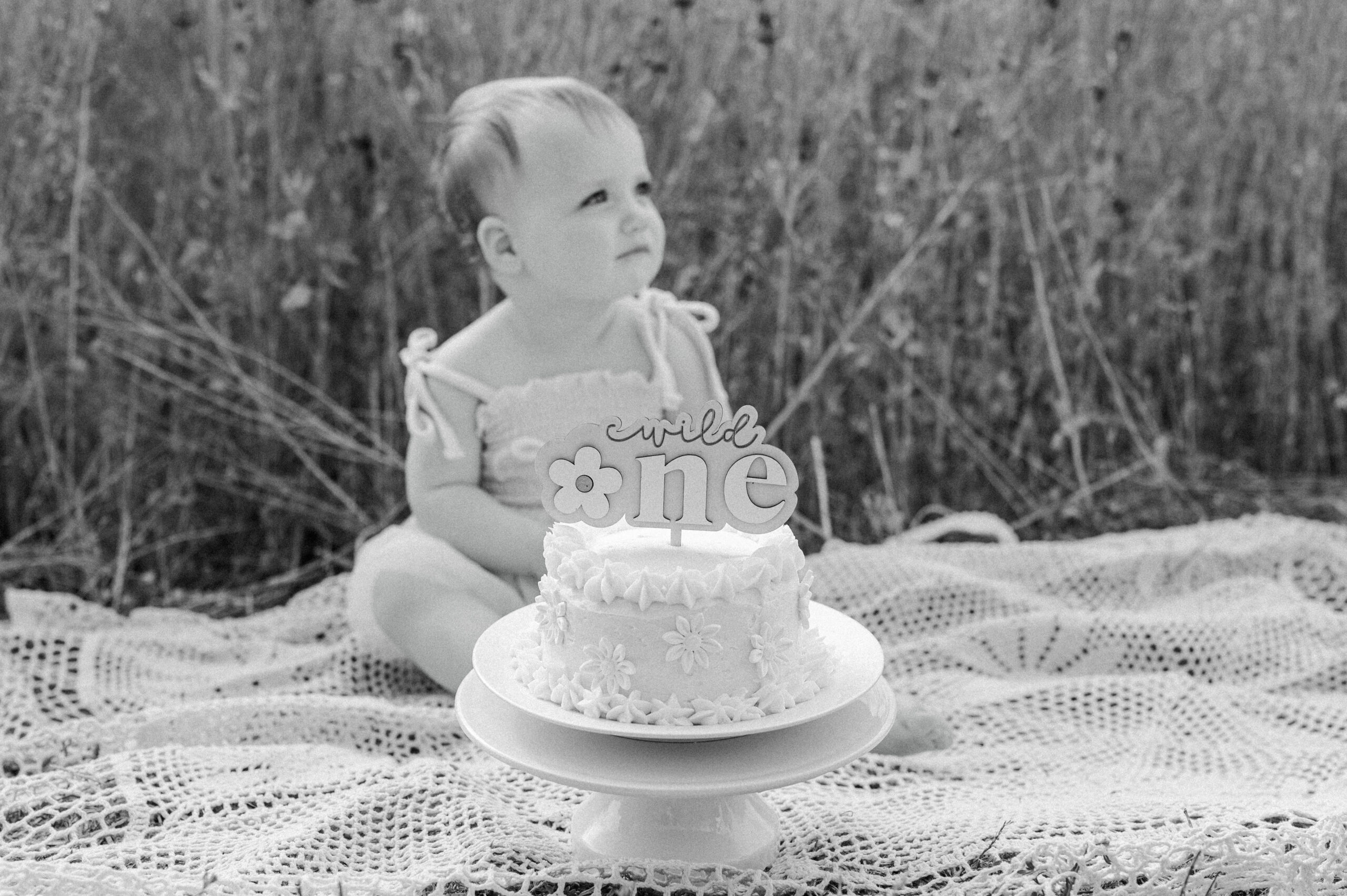 Baby's first birthday milestone session. Photographs of baby eating their smash cake